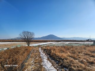 두릅나무19566님의 연말인사 함께 나눠요 · 참여글 작성글 사진