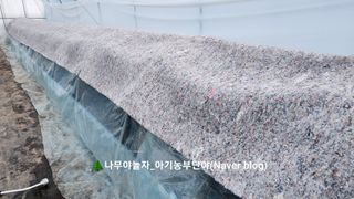 연지골농원_단야님의 자유주제 · 자유게시판 작성글 사진