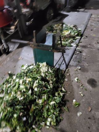 김윤철님의 배추 · 일상 작성글 사진