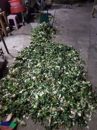 김윤철님의 배추 · 일상 작성글 사진