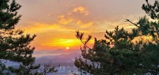 오산독정골산야초농장님의 연말인사 함께 나눠요 · 참여글 작성글 사진