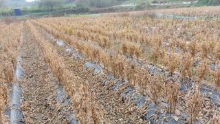 김윤식님의 연말결산 자랑하기 · 참여글 작성글 사진