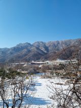 팜모닝 연말인사 함께 나눠요·참여글 게시글 이미지