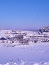 팜모닝 연말인사 함께 나눠요·참여글 게시글 이미지