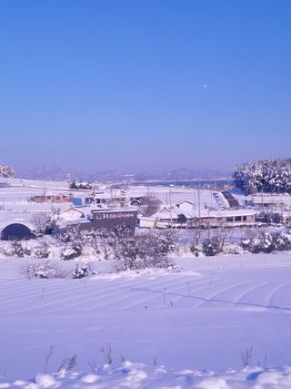 안드레아님의 연말인사 함께 나눠요 · 참여글 작성글 사진