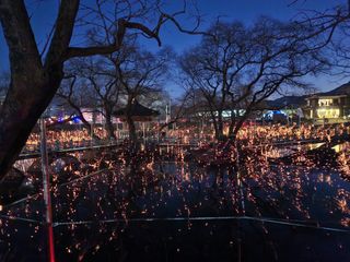 곶감님의 감 · 자유게시판 작성글 사진