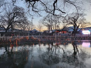 곶감님의 감 · 자유게시판 작성글 사진