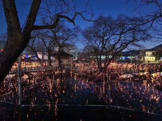 곶감님의 감 · 자유게시판 작성글 사진