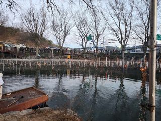 곶감님의 감 · 자유게시판 작성글 사진