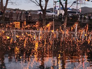 곶감님의 감 · 자유게시판 작성글 사진