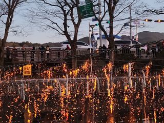 곶감님의 감 · 자유게시판 작성글 사진