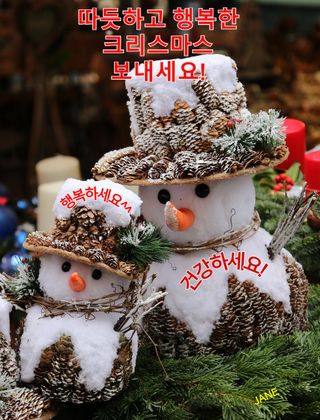 쨍하고해뜨는농원님의 연말인사 함께 나눠요 · 참여글 작성글 사진