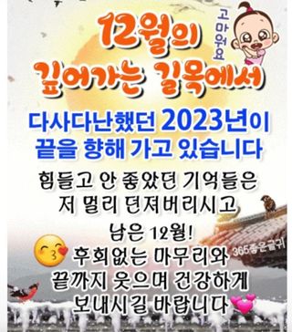 쨍하고해뜨는농원님의 연말인사 함께 나눠요 · 참여글 작성글 사진