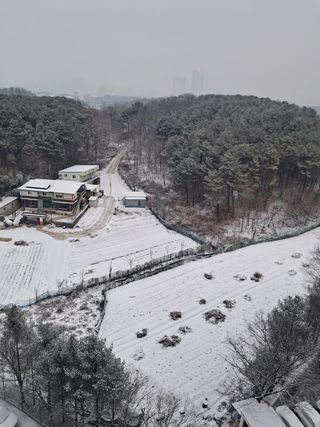 노재영님의 우리동네 · 동네정보 작성글 사진