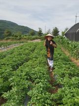 팜모닝 연말인사 함께 나눠요·참여글 게시글 이미지