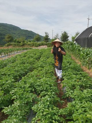 임대운님의 연말인사 함께 나눠요 · 참여글 작성글 사진