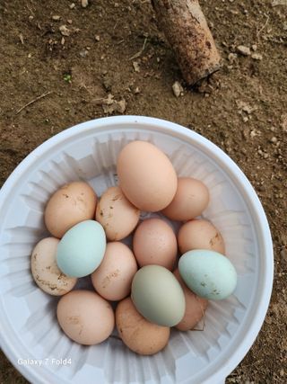 임대운님의 연말인사 함께 나눠요 · 참여글 작성글 사진