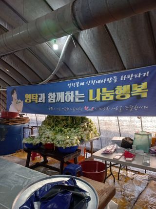 김주철님의 연말인사 함께 나눠요 · 참여글 작성글 사진