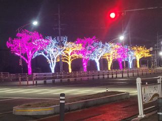 조상희님의 연말인사 함께 나눠요 · 참여글 작성글 사진