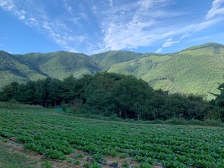 샘푸리 님의 연말인사 함께 나눠요 · 참여글 작성글 사진