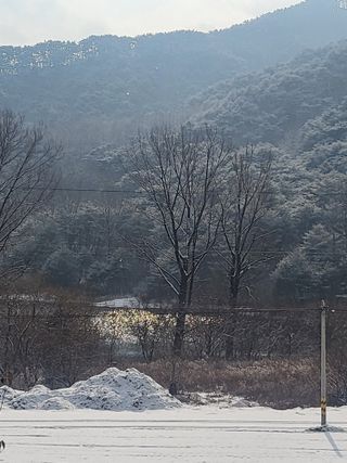 화천힐링님의 연말인사 함께 나눠요 · 참여글 작성글 사진