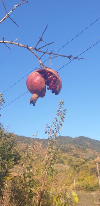 선비화님의 연말결산 자랑하기 · 참여글 작성글 사진