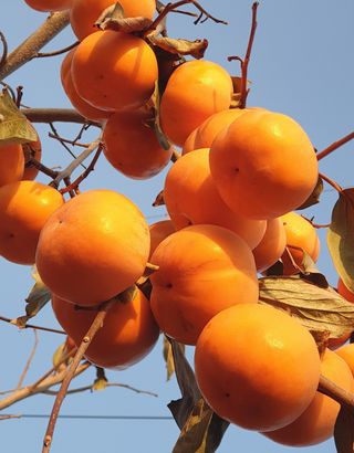 선비화님의 연말결산 자랑하기 · 참여글 작성글 사진