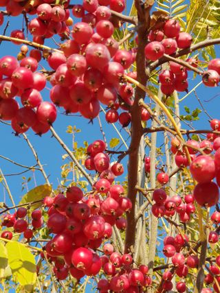 선비화님의 연말결산 자랑하기 · 참여글 작성글 사진
