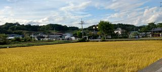 산양 위만(엄문섭)님의 연말인사 함께 나눠요 · 참여글 작성글 사진