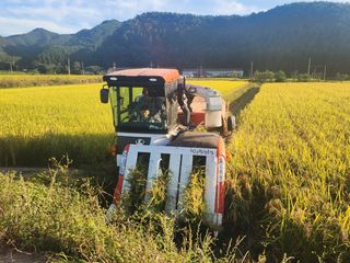 용균식님의 연말결산 자랑하기 · 참여글 작성글 사진
