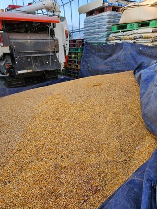 용균식님의 연말결산 자랑하기 · 참여글 작성글 사진