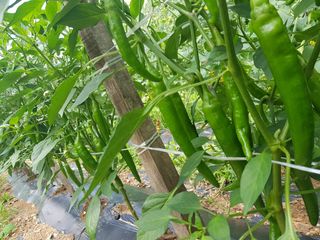 정석구님의 연말인사 함께 나눠요 · 참여글 작성글 사진