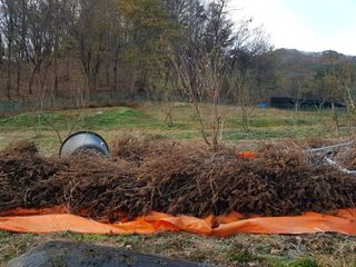 정석구님의 연말인사 함께 나눠요 · 참여글 작성글 사진