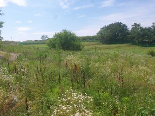댕이골표영환님의 농사, 무엇이든 물어보세요! · 참여글 작성글 사진