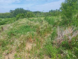 댕이골표영환님의 농사, 무엇이든 물어보세요! · 참여글 작성글 사진