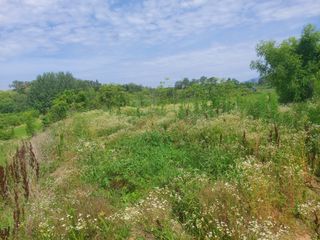 댕이골표영환님의 농사, 무엇이든 물어보세요! · 참여글 작성글 사진