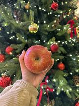 팜모닝 사과·일상 게시글 이미지