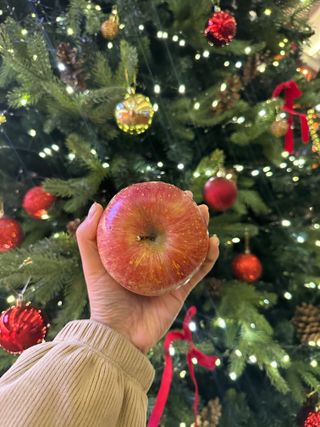 김성미님의 사과 · 일상 작성글 사진