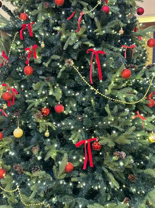 김성미님의 사과 · 일상 작성글 사진