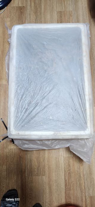 벽창호(죽동농부)님의 블루베리 · 자유게시판 작성글 사진