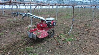 알 수 없음님의 포도 · 자유게시판 작성글 사진
