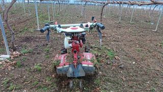 알 수 없음님의 포도 · 자유게시판 작성글 사진