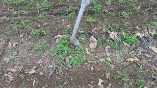 알 수 없음님의 포도 · 자유게시판 작성글 사진