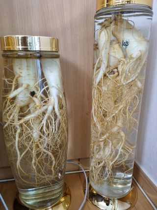 모두팜님의 연말인사 함께 나눠요 · 참여글 작성글 사진