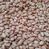 팜모닝 농사, 무엇이든 물어보세요!·참여글 게시글 이미지