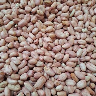 알 수 없음님의 농사, 무엇이든 물어보세요! · 참여글 작성글 사진