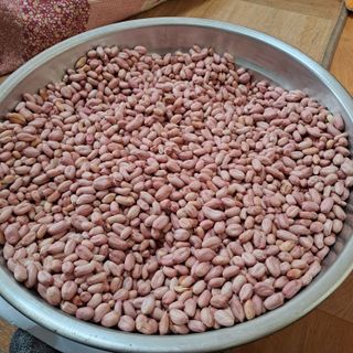 알 수 없음님의 농사, 무엇이든 물어보세요! · 참여글 작성글 사진