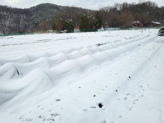 들꽃농장님의 연말인사 함께 나눠요 · 참여글 작성글 사진