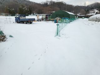 들꽃농장님의 연말인사 함께 나눠요 · 참여글 작성글 사진