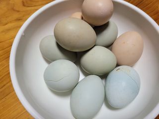 여우내 이순홍님의 자유주제 · 자유게시판 작성글 사진